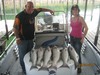 (09/25/2014) - Nice Striped Bass
